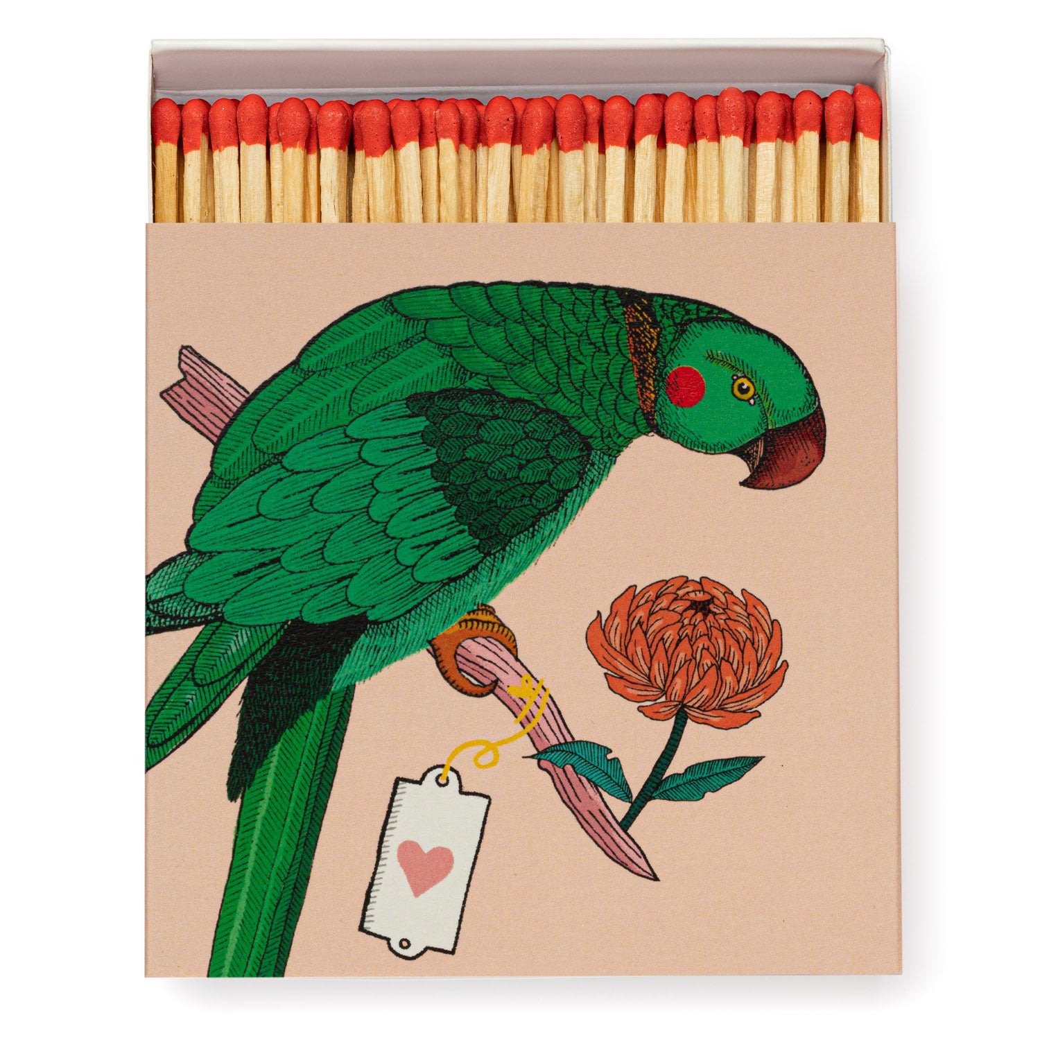 Matchbox Parrot