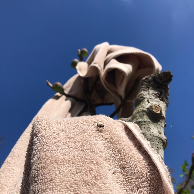 Badlaken - customized