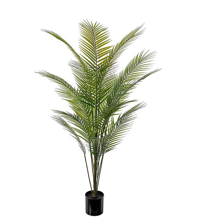 Palm 160 cm