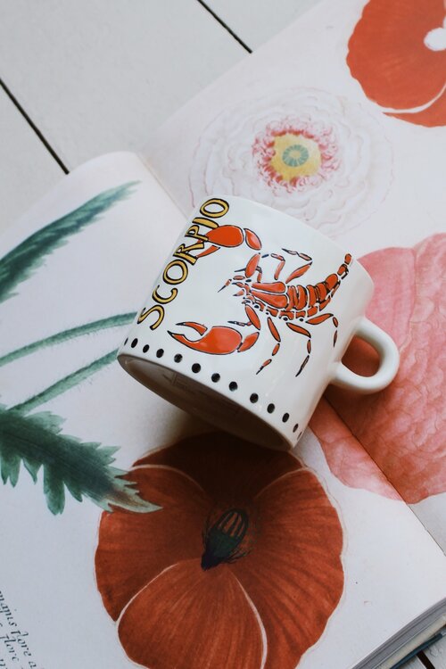 Scorpio Mug