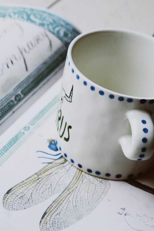 Taurus Mug