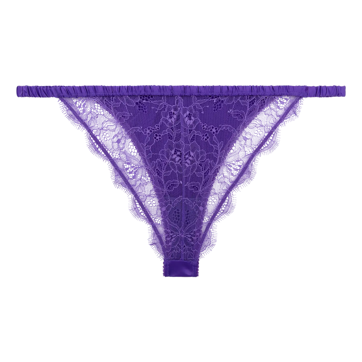 LS Charlotte purple
