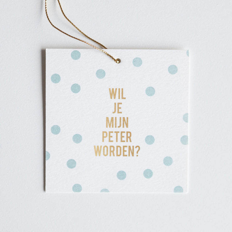 wil-je-mijn-meter-worden