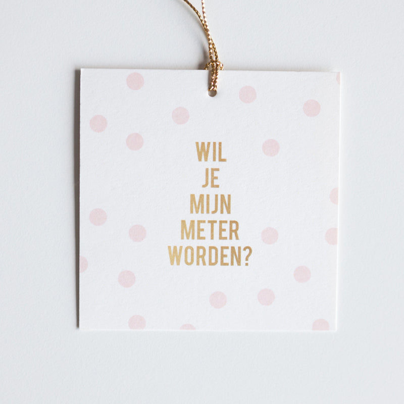 wil-je-mijn-meter-worden